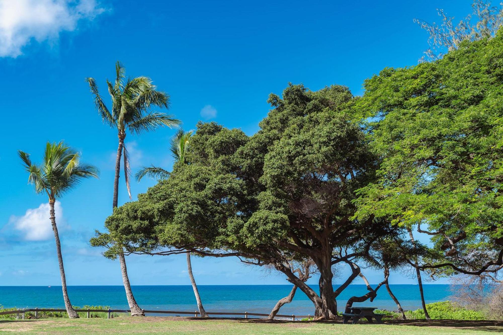 Haleakala Shores A-301, Panoramic Views, Split Ac Wailea  Exterior photo