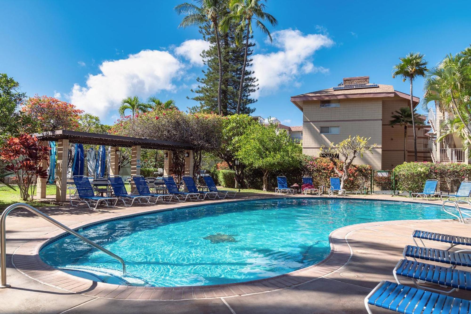 Haleakala Shores A-301, Panoramic Views, Split Ac Wailea  Exterior photo